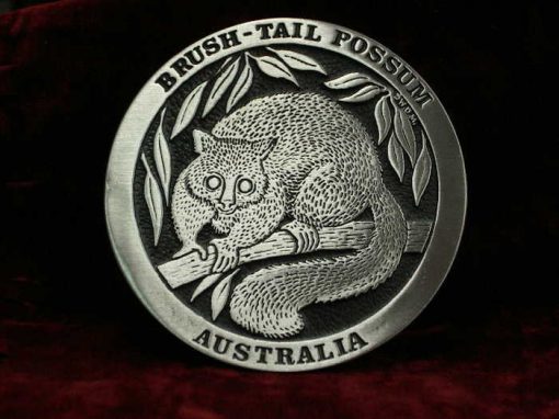 Pewter Brushtail Possum Coaster - Aradon Gemstones and Pewter Australia